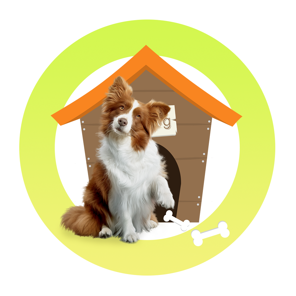 Pet Supplies