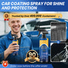 🏆 RayHong Quick Effect Coating Agent